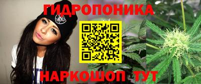 сатива Севастополь