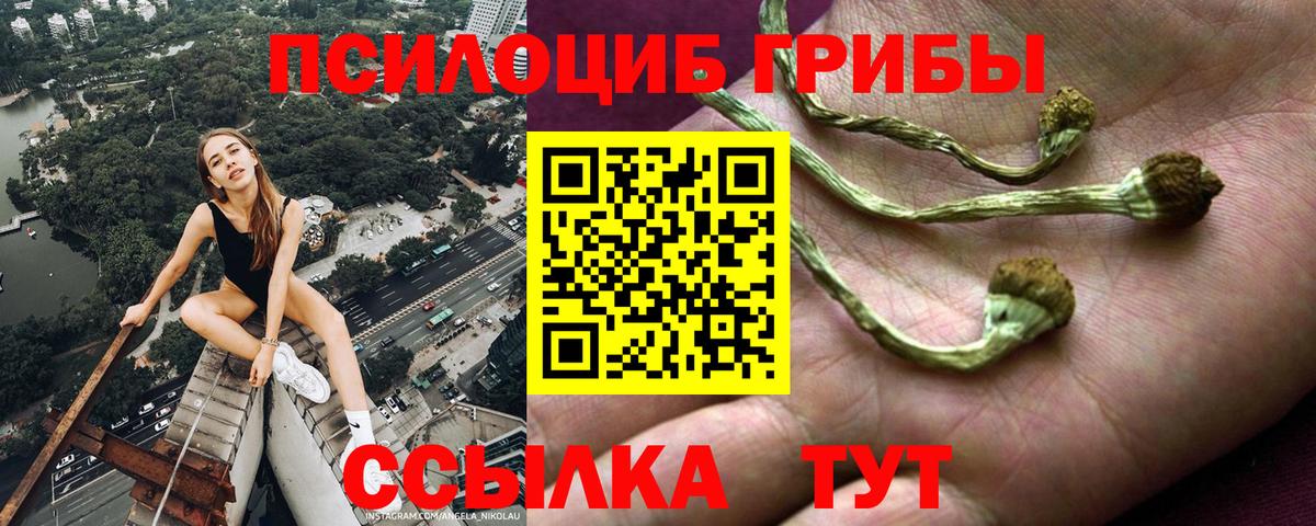 Псилоцибиновые грибы прущие грибы Нижний Новгород