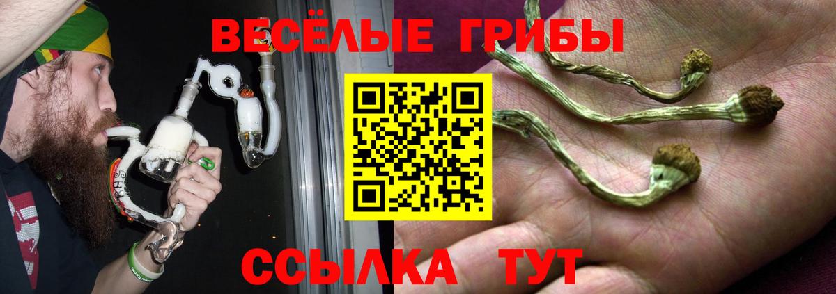 Нижний Новгород  Галлюциногенные грибы прущие грибы  Вход с VPN 